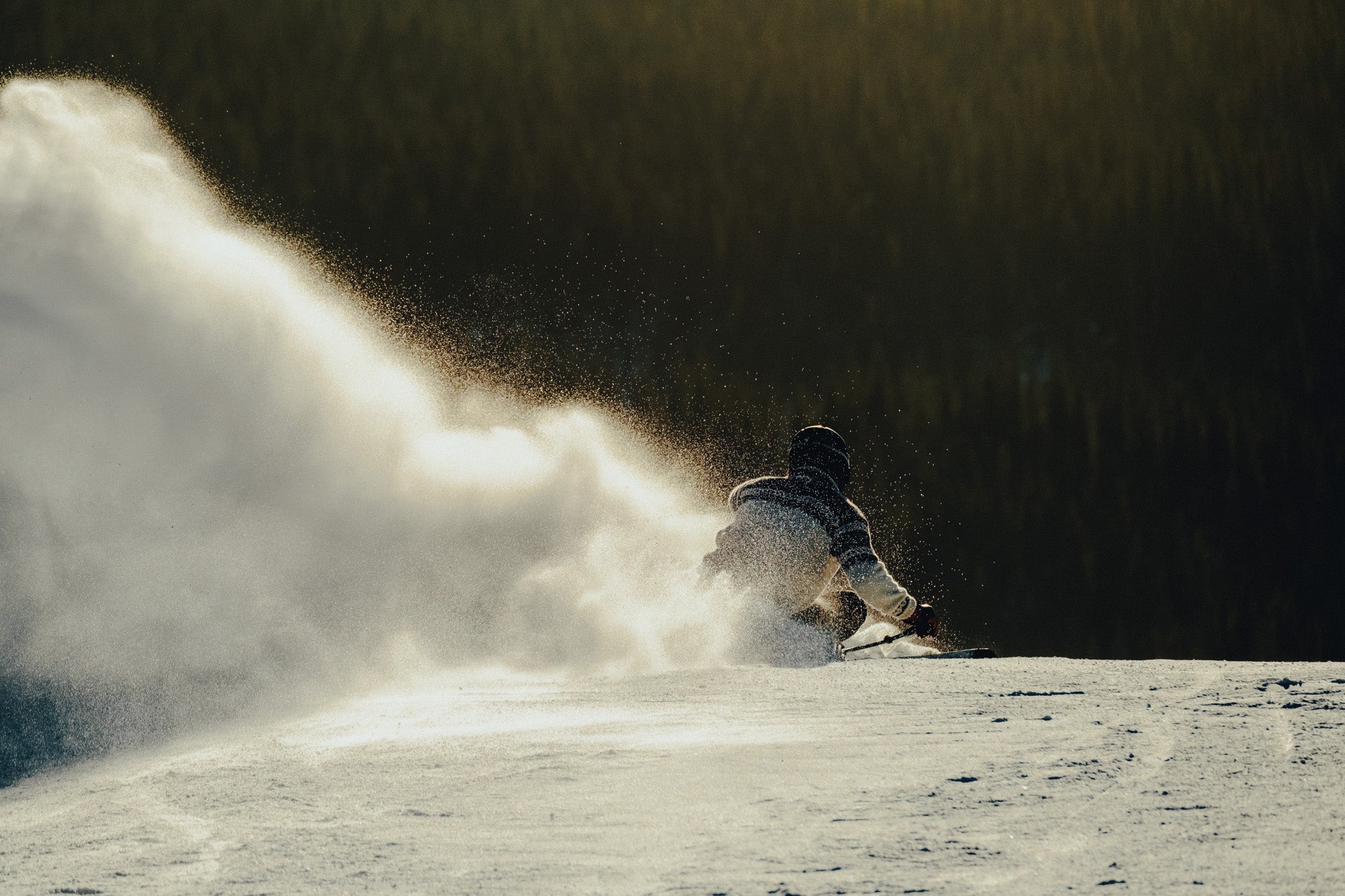 files/Skiier.jpg